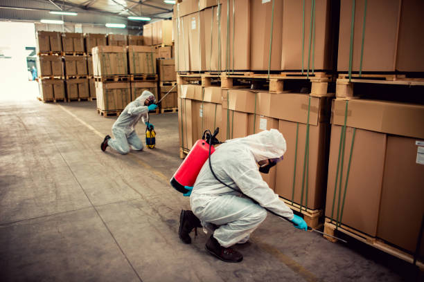 Best Mosquito Control Services  in Wonder Lake, IL