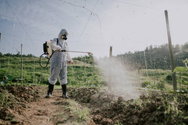 Best Pest Prevention Services  in Wonder Lake, IL