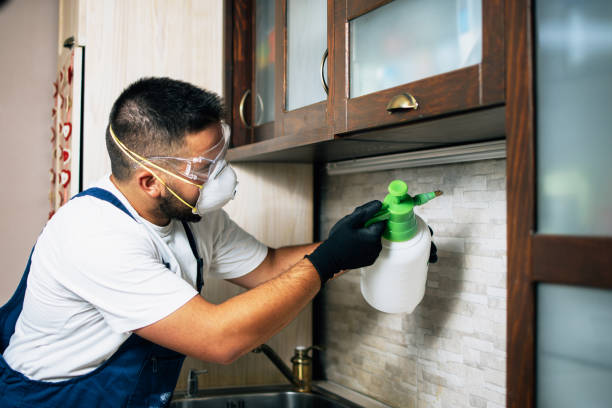 Best Pest Control Near Me  in Wonder Lake, IL