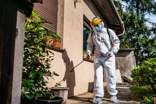 Best Best Pest Control Near Me  in Wonder Lake, IL