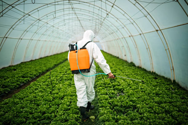 Pest Control Cost in Wonder Lake, IL
