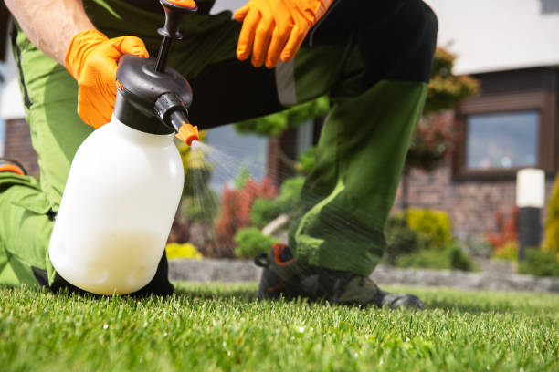 Best Affordable Pest Control Services  in Wonder Lake, IL