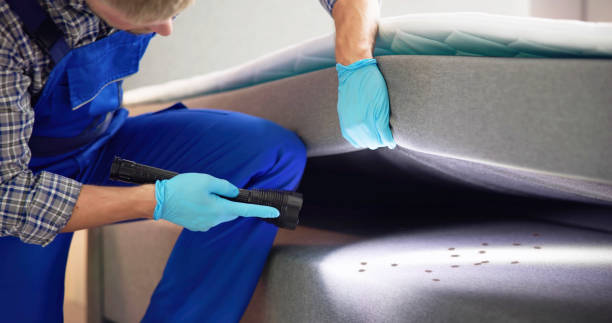 Best Pest Removal Services  in Wonder Lake, IL