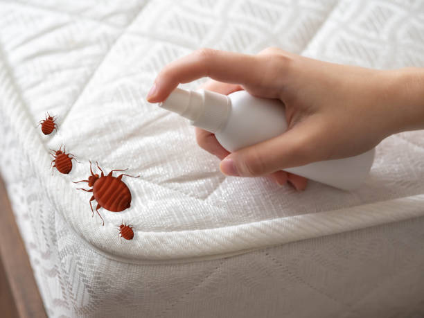 Best Pest Inspection Near Me  in Wonder Lake, IL