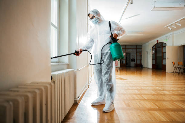 Best Bed Bug Extermination  in Wonder Lake, IL