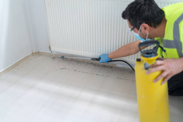 Best Emergency Pest Control  in Wonder Lake, IL