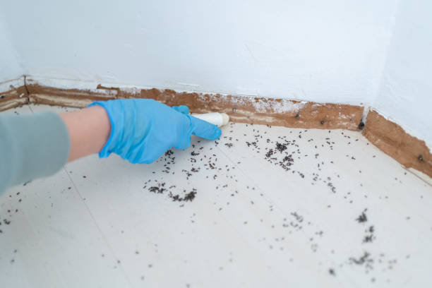 Best Commercial Pest Control Services  in Wonder Lake, IL