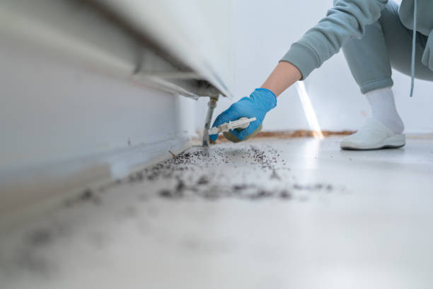 Best Emergency Pest Control  in Wonder Lake, IL